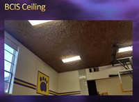 BCIS Ceiling